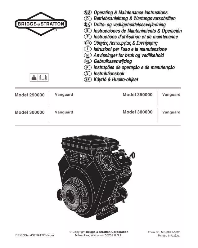 Mode d'emploi BRIGGS & STRATTON 303400