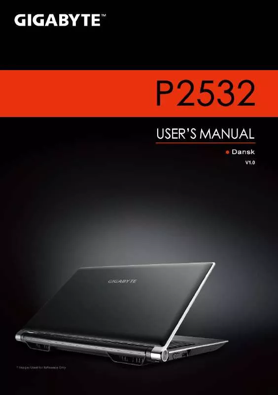 Mode d'emploi GIGABYTE P2532N